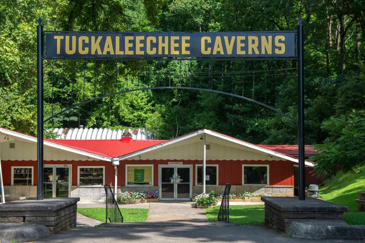 Twin Cub Lodge Tuckaleechee ภายนอก รูปภาพ